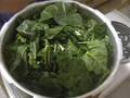 Cooking Collard Greens