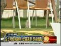 980922餐廳裡有兔子兔兔餐聽樂趣多