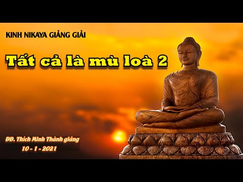 Kinh NIKAYA Giảng Giải_ TẤT CẢ LÀ MÙ LÒA 2