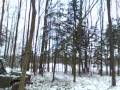 videos de UAZ - stahování zavěšené větve
