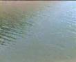 Ver Video