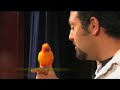 Beatboxer Adam Matta & Kimba Part 2