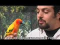 Beatboxer Adam Matta & Kimba Part 2
