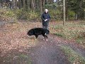 Samen aan de wandel... nou wandelen?!