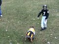 Bull Dog Rocks Bull Dog Rocks