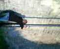 Kurtis Going Down A Lampost :D
