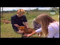 fox Traper