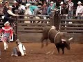 Bull Riding At The Fair Bull Riding At The Fair