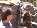 https://www.youtube.com/watch?v=vvxd0mR_0m8