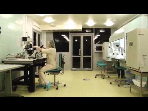 Видео: Центр Семья в Ростове-на-Дону