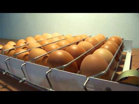 egg turner automatic egg incubator home made incubator with automatic