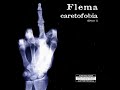 flema flemita