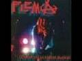 flema flemita