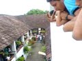 Paparazzo