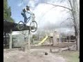 jacks drop (myrtleford)