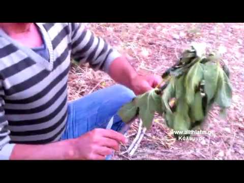 ALITHIA FM ΚΟΝΤΑ ΣΤΗΝ ΠΑΡΑΔΟΣΗ ΜΕ ΤΟΝ ΔΡΟΣΟ 13-5-2012.mp4