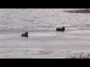 still image from video