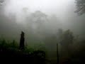 GOSPEL SONG (Baguio City during the storm)
