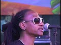 NEW Kingston Band/LIVE IN EUROPE
