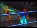 West Coast CAWs SVR 2007 Thundercats , Cheetara , Tygra