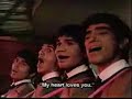 Beatles Indi