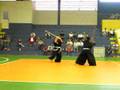 Haedong-Kundo