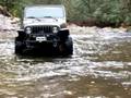 videos de Tellico Nov.15th, 2008