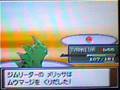 Pokémon Platinum - Optional Boss - Top Trainer Café Fantina