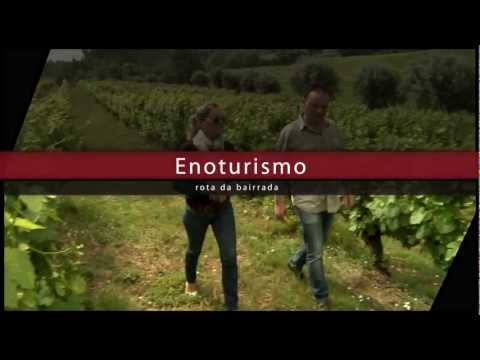 Wine Tourism