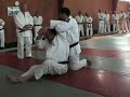 katame no kata (3) katame no kata (3)