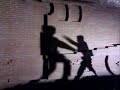 ShadowFighter