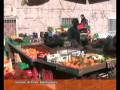 videos de 25-11-08 TG MONTECITORIO.wmv