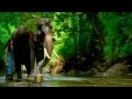 Kumki