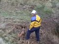 Malinois \"Daneskjold Pippi\" tracking