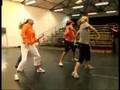 The-Cheetah-Girls-2-