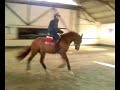 Andre et Racord Ecurie Fape