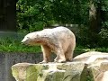 Knut and the Gardener