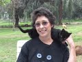 introduction to this truly unique no-cage, no-kill cat & dog sanctuary in parlier, california.