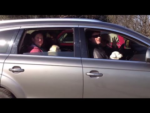 Behind the PSA: “Roadtrip”
