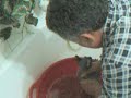 Sphynx -funny bath (Second  time)