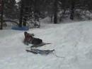 brett flyin\
