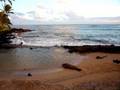 videos de Monk Seal on a Roll