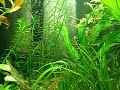 Effective CO2 Aquarium Diffuser. 100% Solubility.