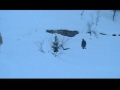 IL PARENTE DI FACCIA NELLA NEVE