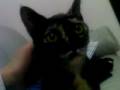 videos de DSC00277.3GP
