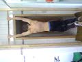 Behm 20 Stck Behm 20 Stck