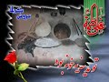 zaker-alimi-rozegar-