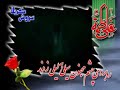 zaker-alimi-rozegar-