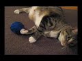 yarnballz yarnballz
