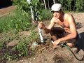 Eat Your Weeds